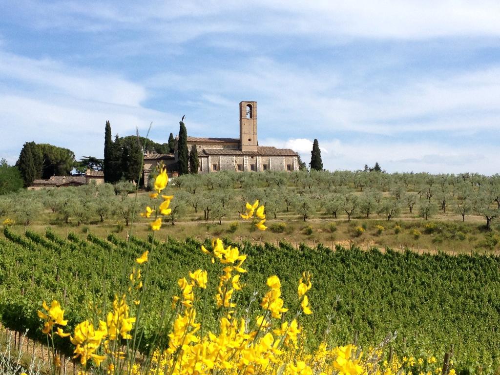Fattoria Abbazia Monte Oliveto San Gimignano Exterior foto