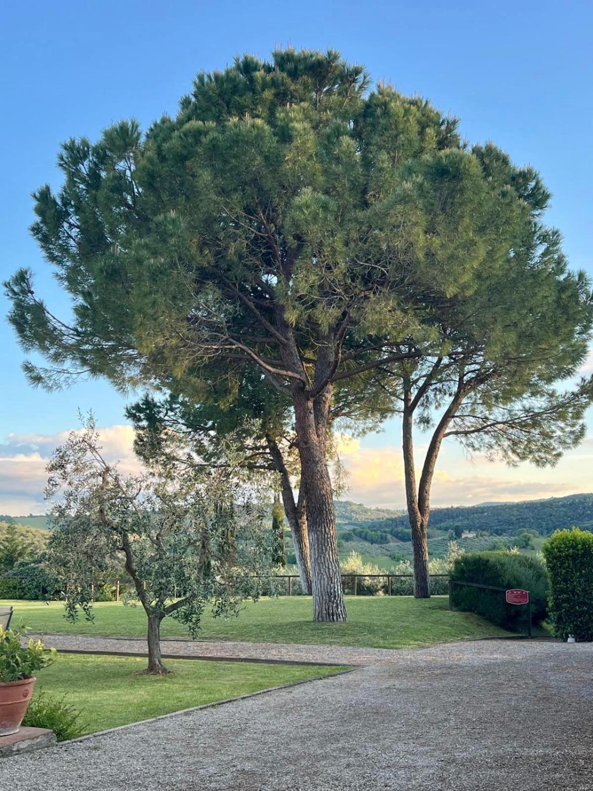 Fattoria Abbazia Monte Oliveto San Gimignano Exterior foto